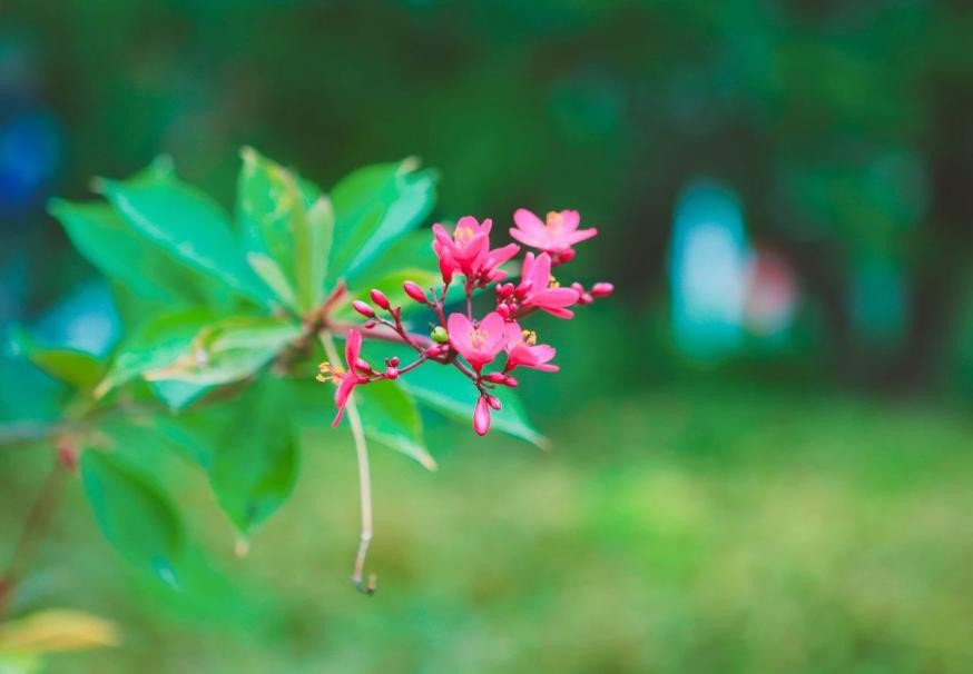 上了深圳职业技术学院有什么好处,选深圳职业技术学院真的很好吗