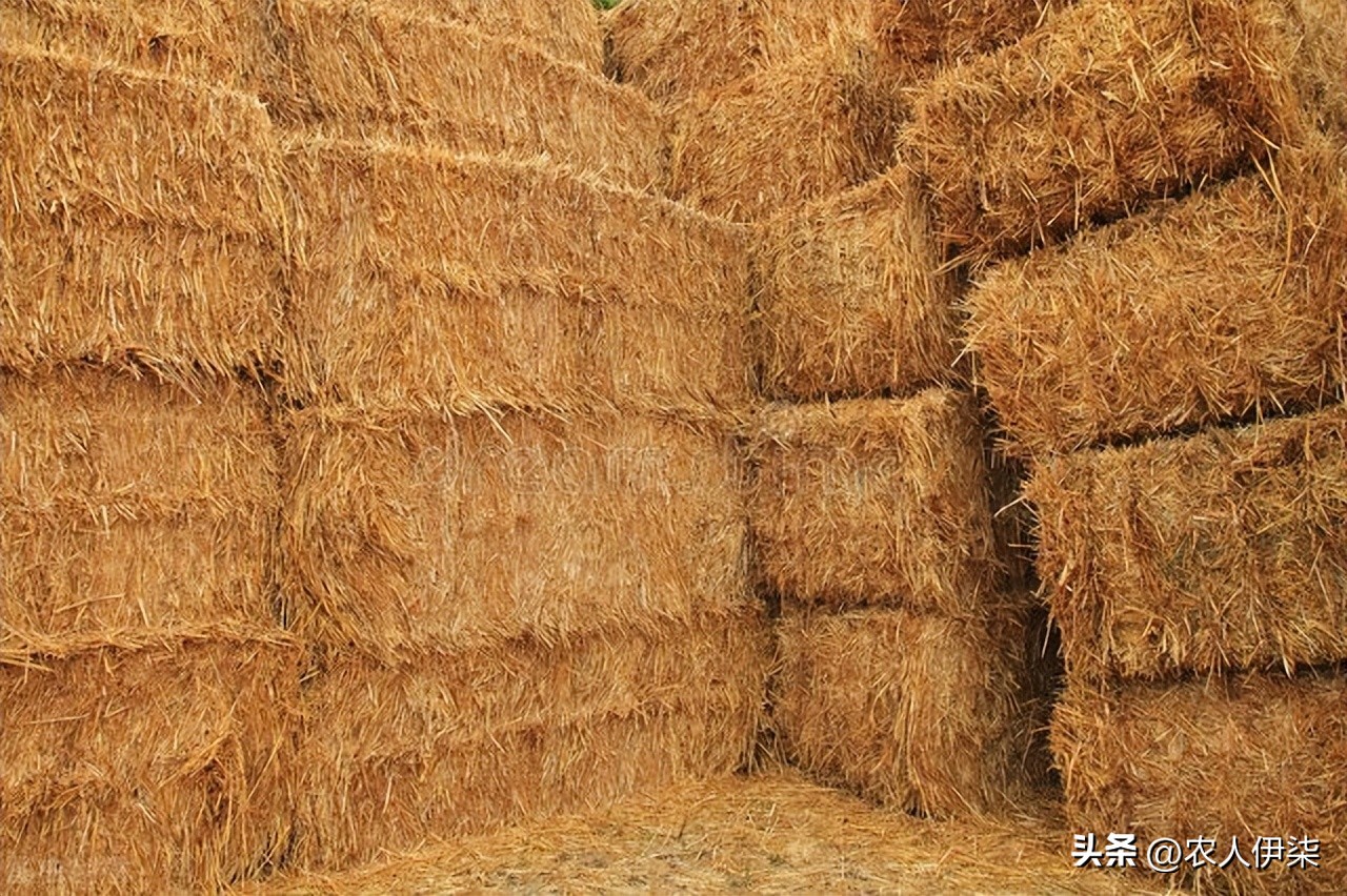 秸秆回收加工国家优惠政策,秸秆回收没有补贴这生意能做吗