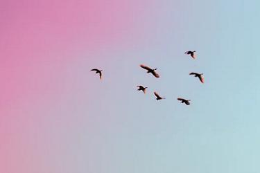 淘宝直播下架商品怎么上架,淘宝直播间上架的产品怎么下架呢