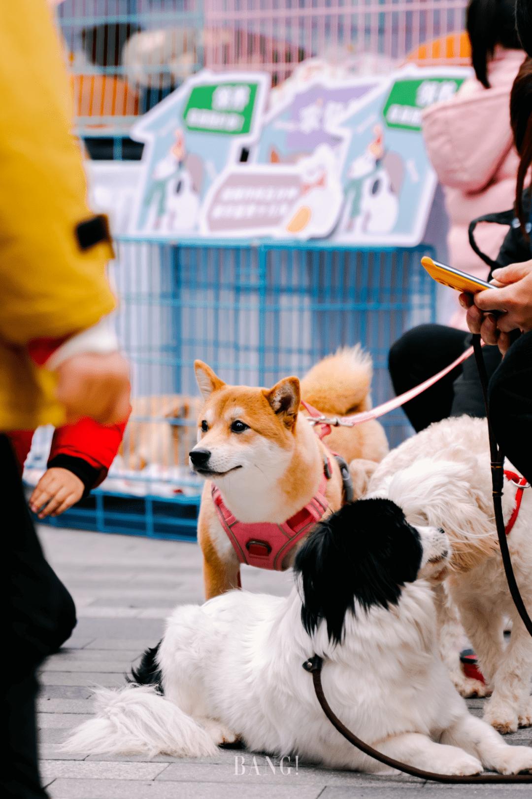 好「友」意思！魔都缤纷春日生活，在博荟广场ONEEAST安排上了！