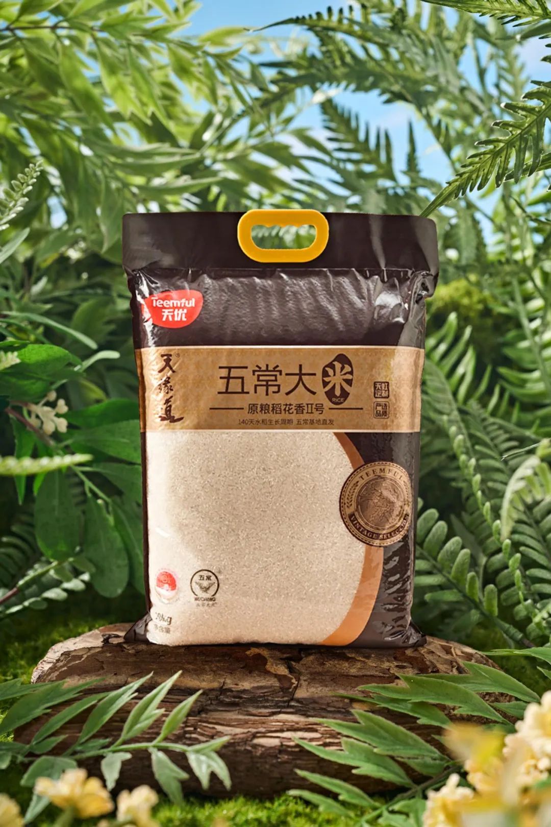 天虹股份的趋势,天虹股份的业绩