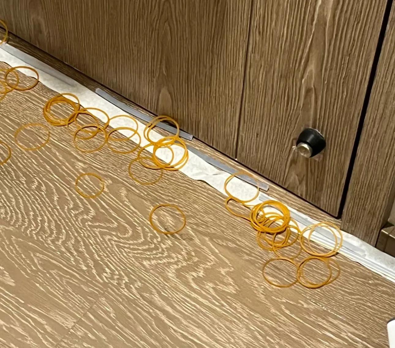 家里有蚂蚁怎么消灭的小妙招,家里如何彻底消灭蚂蚁妙招