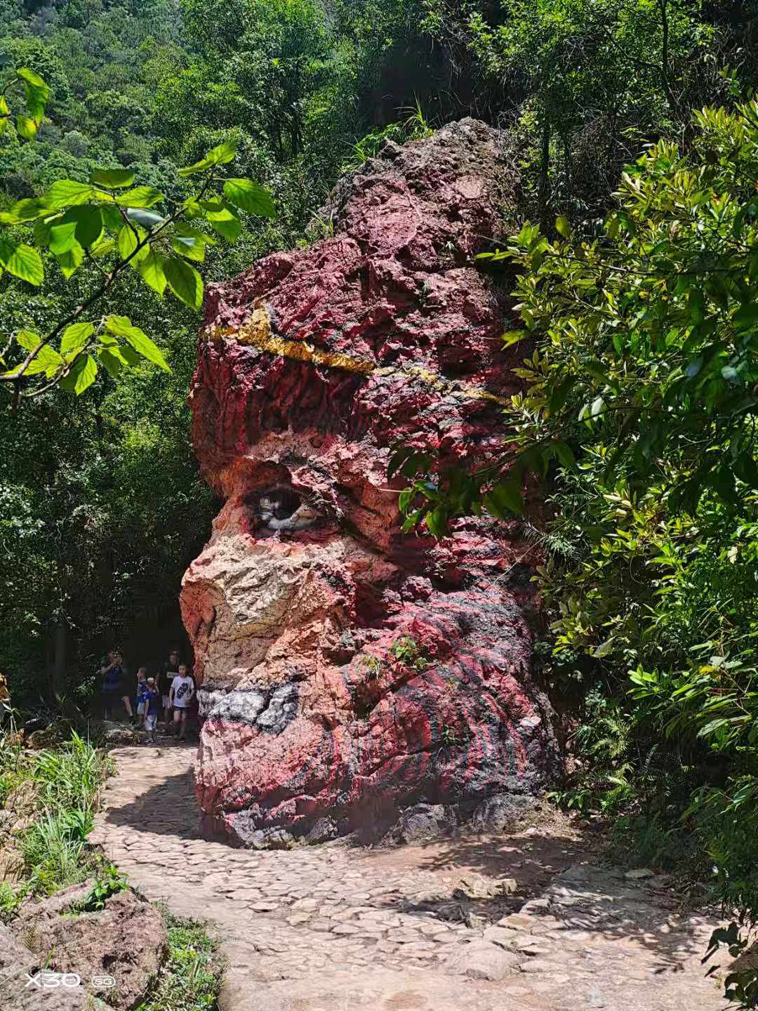 悟空到达圣地,悟空怎么从五指山出来的