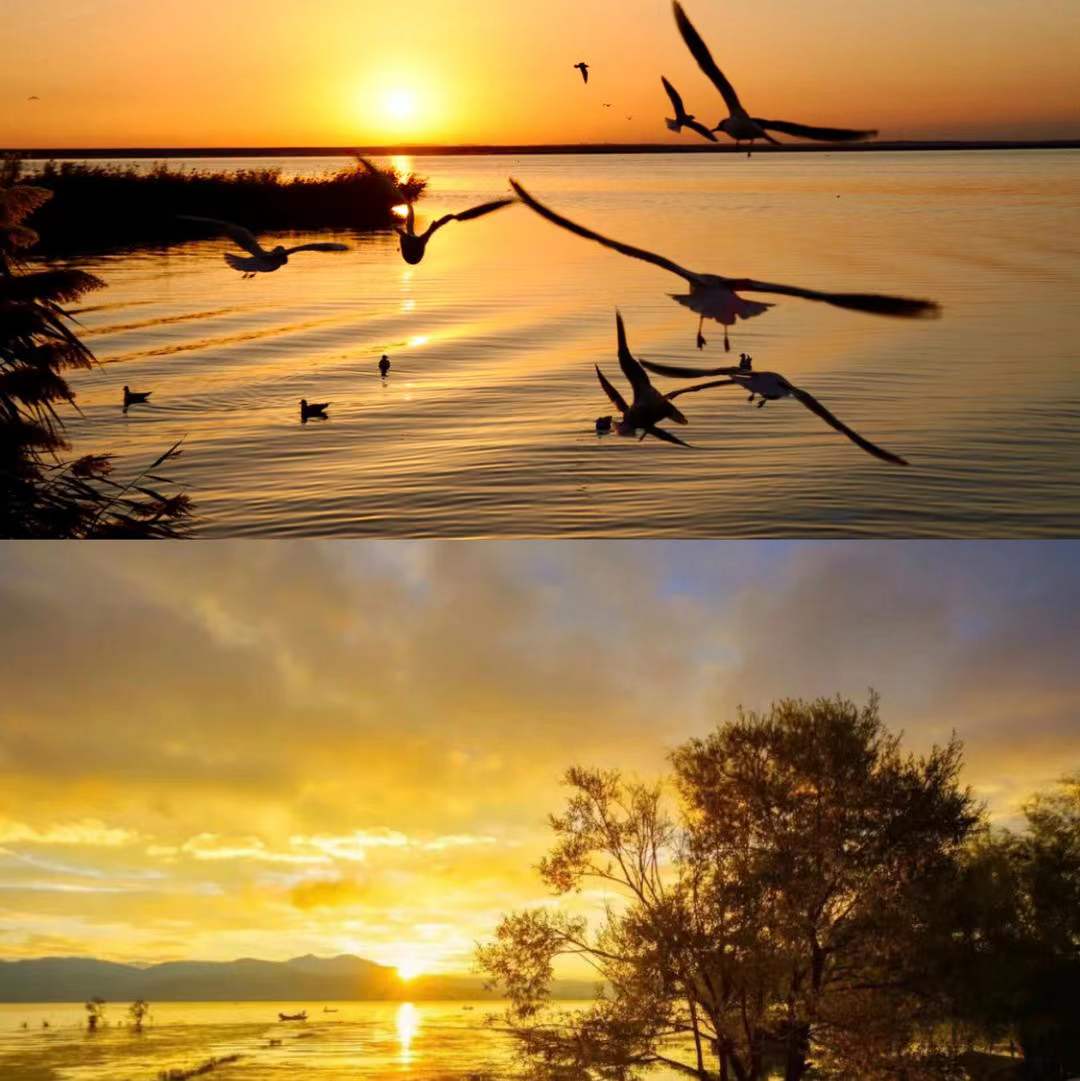 五一从额济纳旗出发自驾北疆,额济纳旗自驾旅游攻略