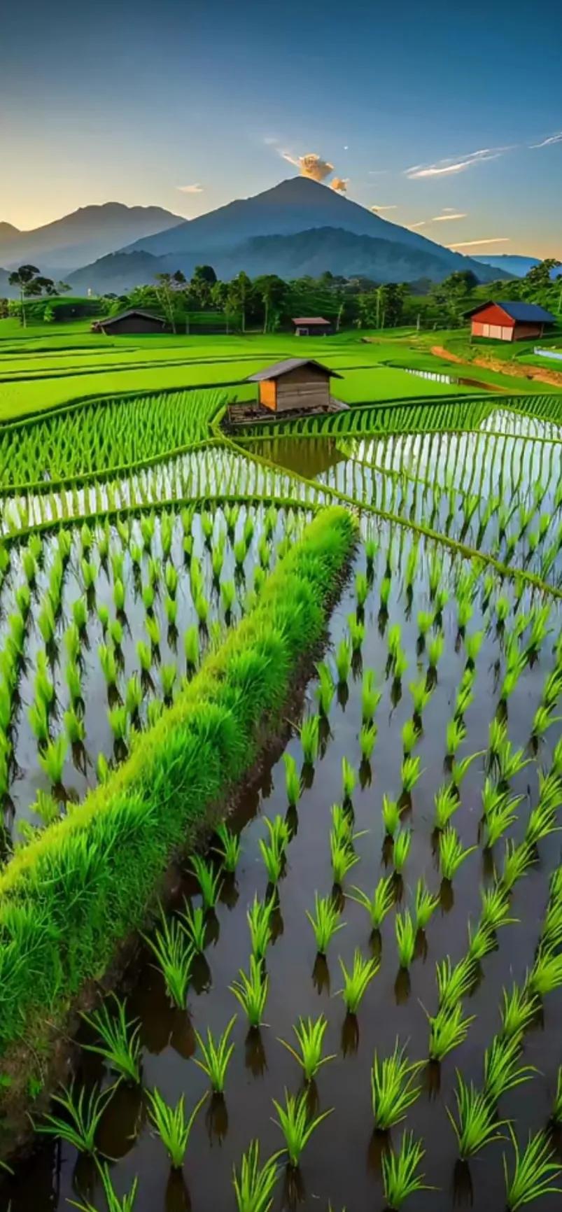 赏田园风光图片,美在深秋田园风光图片