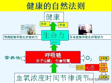 生命守护者人民的健康卫士,生命健康的守护者