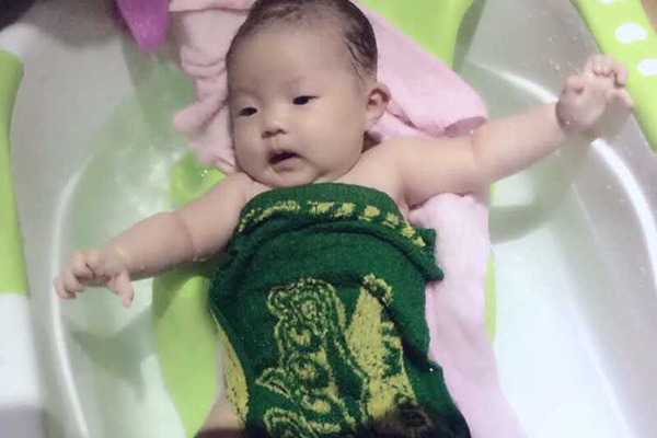 元宝鸽蛋和普通鸽子蛋有什么区别,鸽子蛋和鸡蛋价格差很多吗