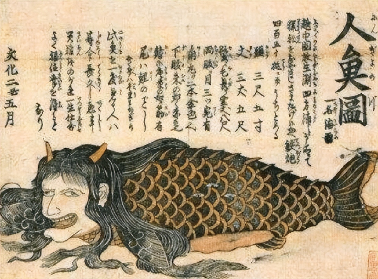 广西渔民误捕棘皮海星,广西渔民误捕鲛人图案