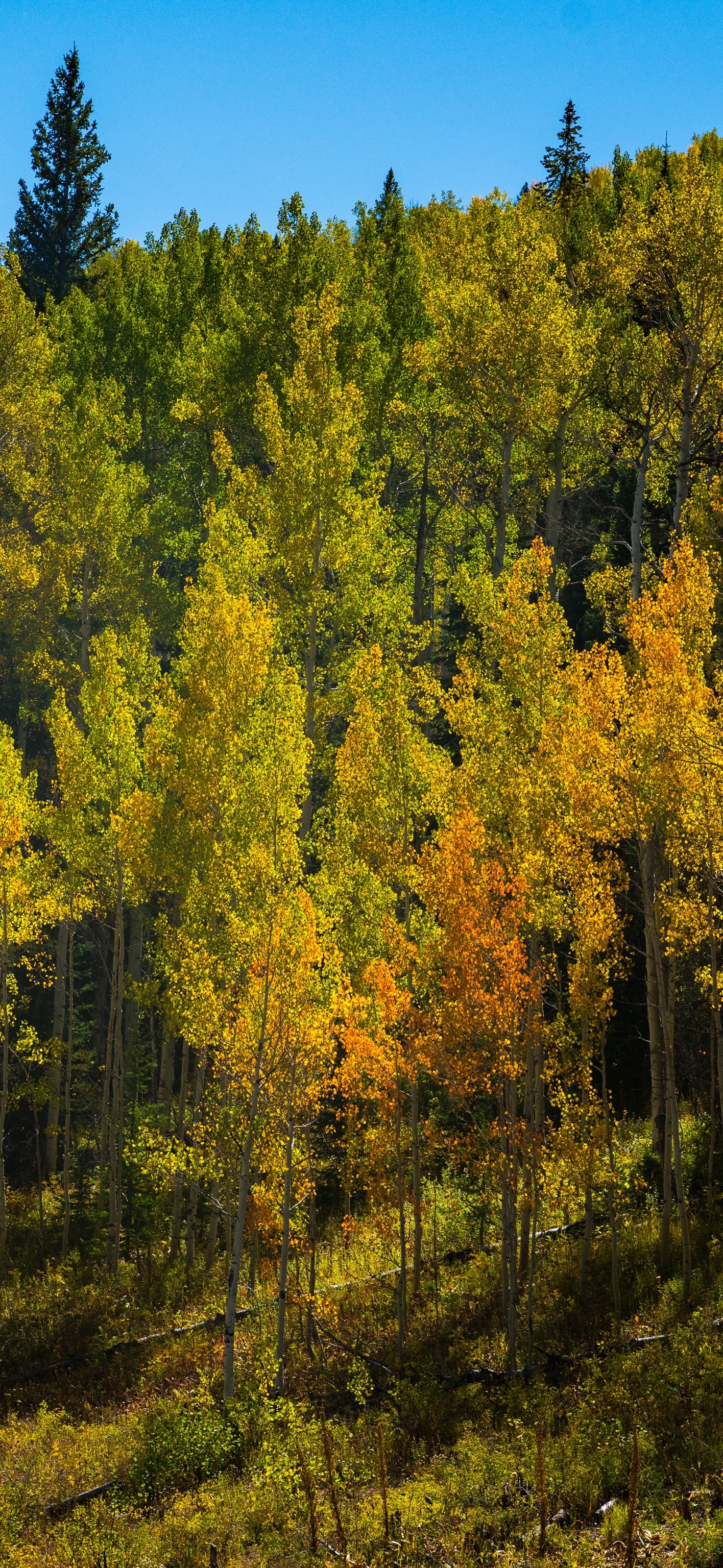远方精美风景壁纸大全,壁纸风景图集