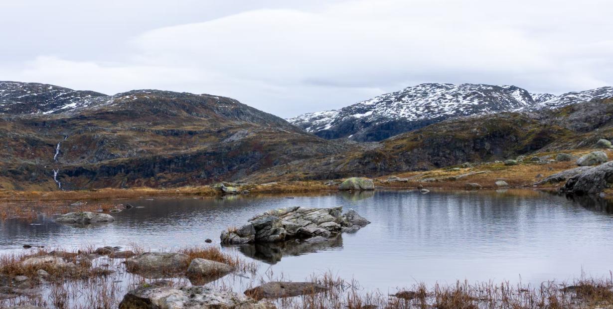 挪威常年霸榜冬奥会,挪威冬奥会为什么这么强