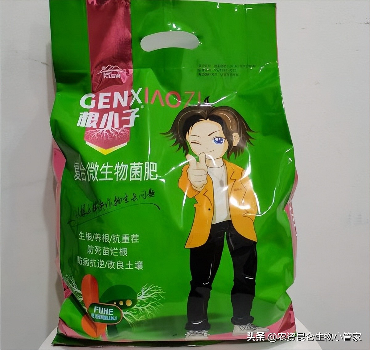 番茄溃疡病怎么治疗？种植番茄如何降低溃疡病的发生率