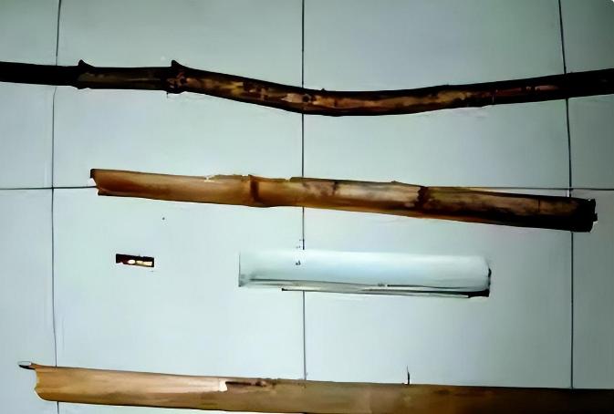 4名16岁男女火烧一女子*处私**，致其死亡，直言：我未成年，我怕啥