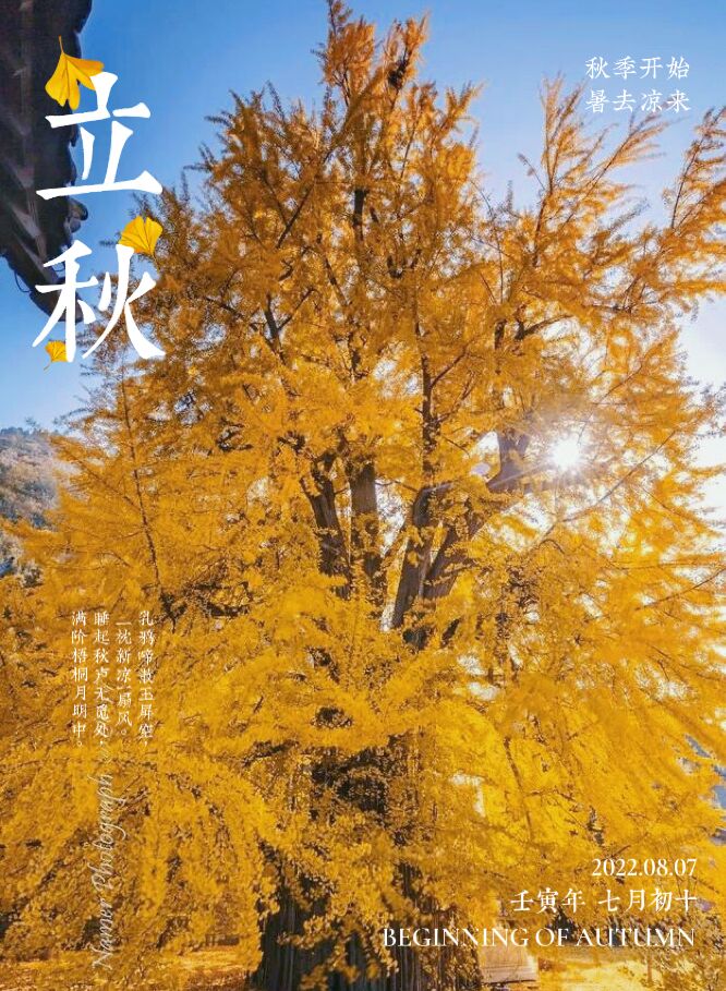 宀佸崕杩囧崐浼戞儐鎬呬笖瀵硅タ椋庤繋绔嬬,宀佹湀杩囧崐浼戞儐鎬呬笖瀵硅タ椋庤春绔嬬