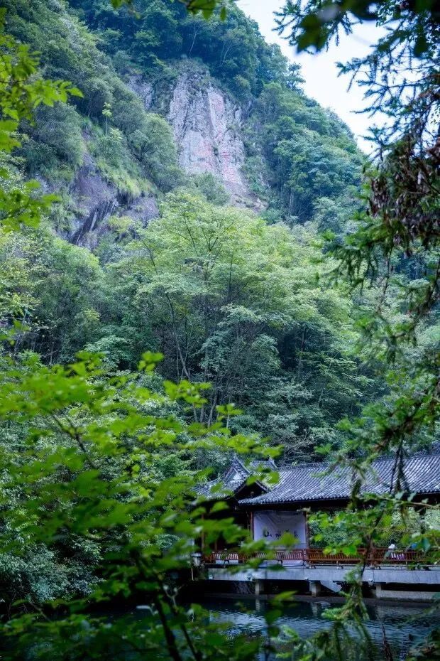 遂昌吃喝玩乐的地方,遂昌千佛山旅游度假