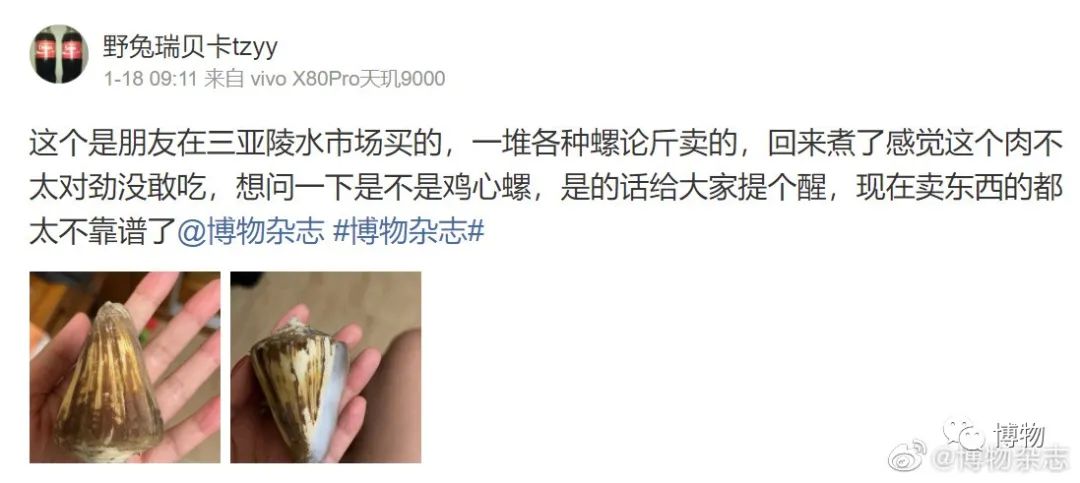 吃螺有粘液可以直接吃吗,吃了螺不能吃什么