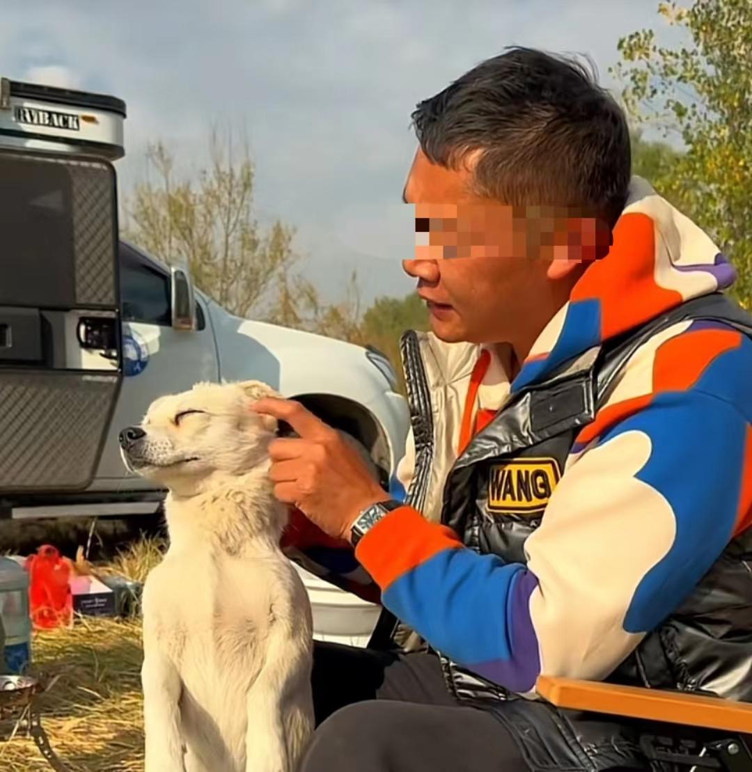 22年郑州5人1狗露营被困22天，靠居民投喂生存，荒野求生结局如何