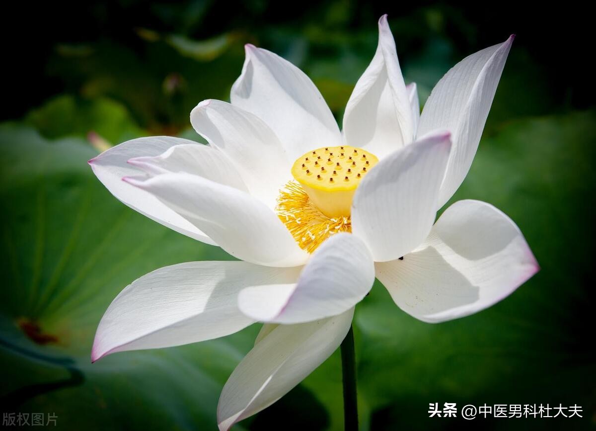 宗筋敏感度,宗筋松弛如何调理