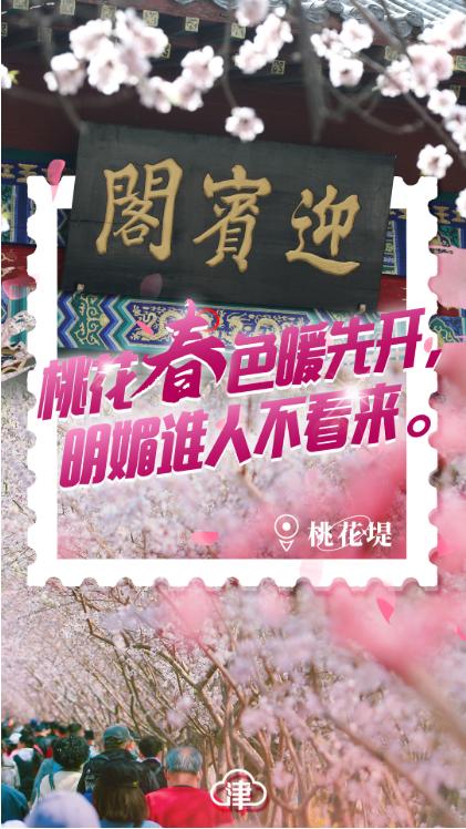 四月的天津,四月初的天津