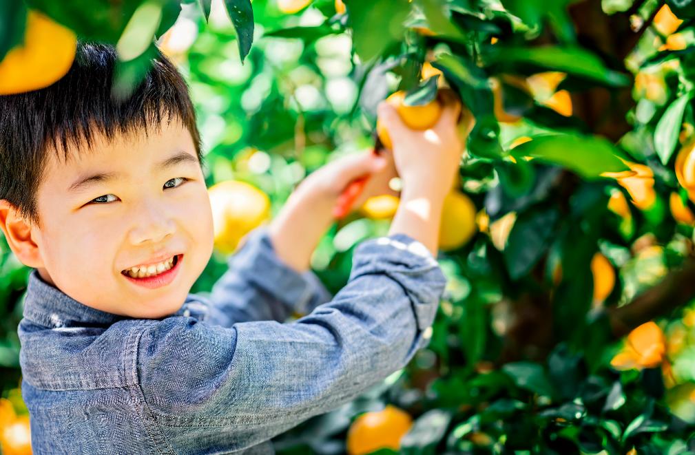 成本低利润高的创业项目,农村创业目前哪些项目比较好