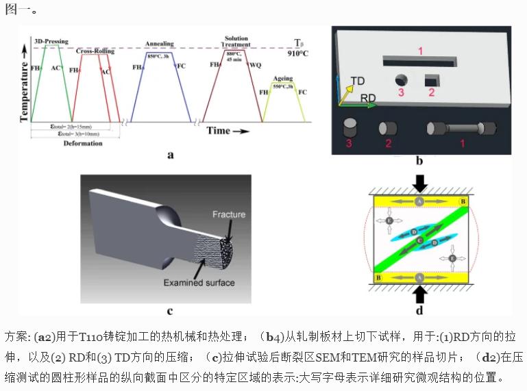应变速率对Ti基T110合金力学行为和组织演变的影响