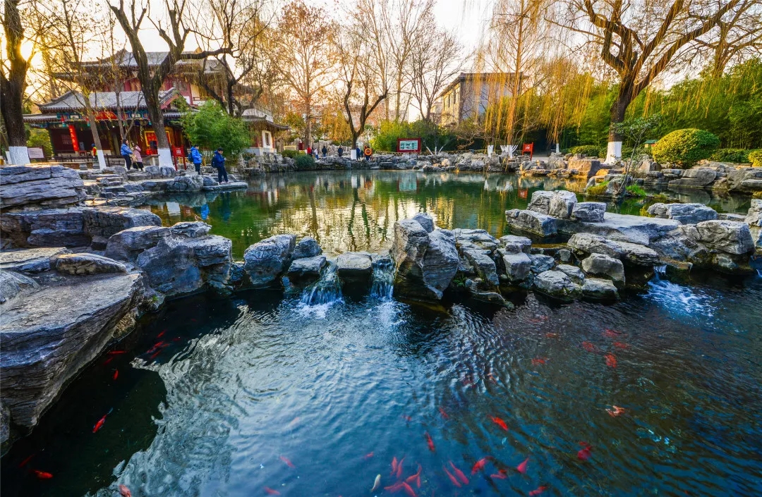 听泉声潺潺,看水映池柳!一起走近济南趵突泉公园白雪楼旁,消万斛愁的无忧泉