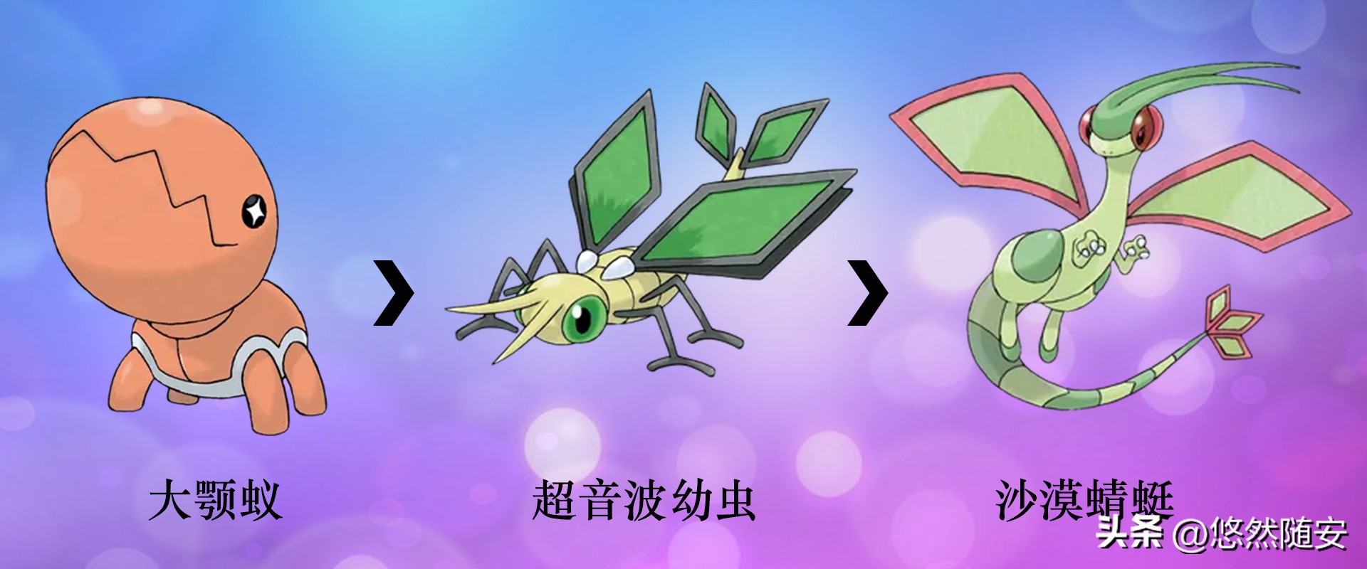 宝可梦进化形态,神奇宝可梦伊布进化形态