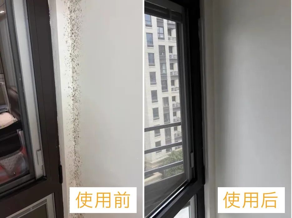 屋里潮湿起霉斑怎么去除,潮湿发霉怎么快速消除霉点