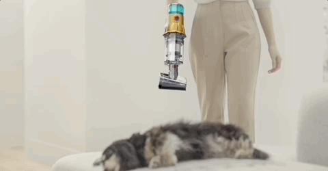 戴森吸尘器配的洗地刷头是正品吗,戴森吸尘器有洗地的功能吗