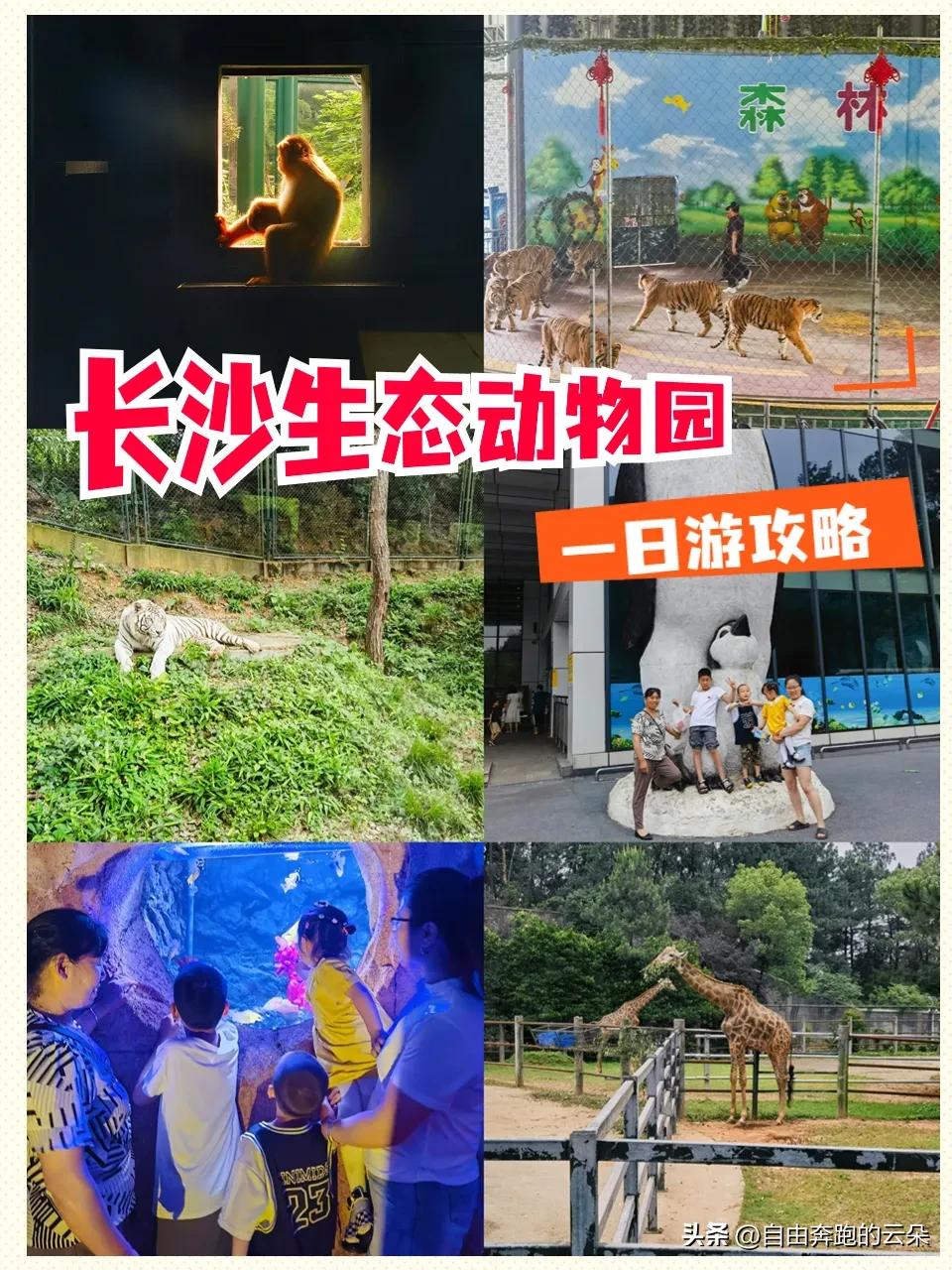 长沙生态动物园门票小孩免费吗,长沙生态动物园门票多少钱一个人