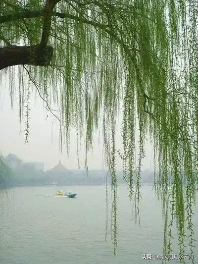 依依垂柳，妖妖春水