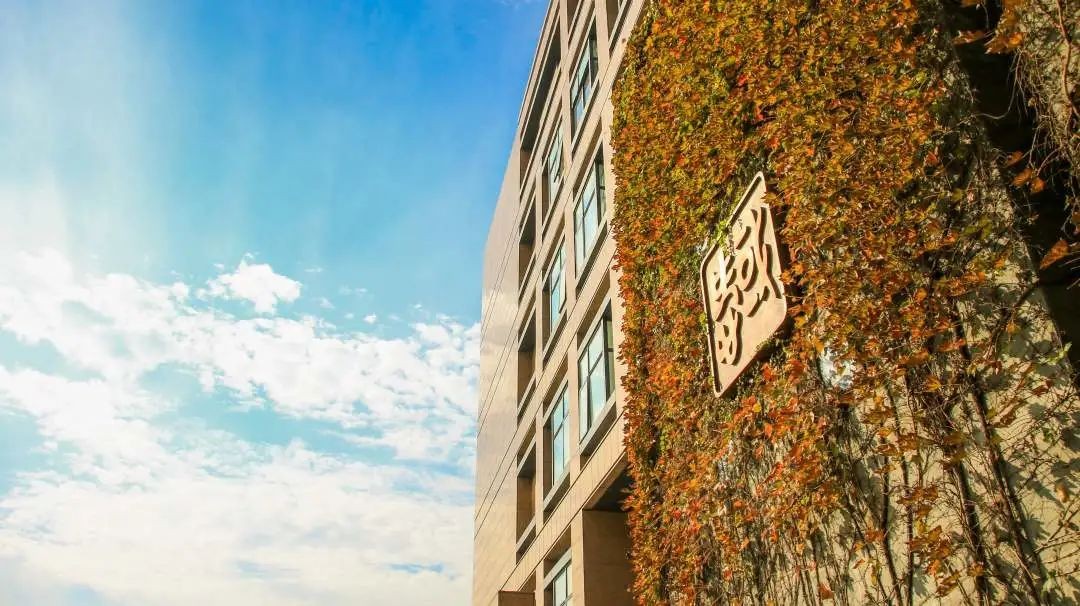 浙江省政府全力支持西湖大学,浙江省政府重点扶持大学