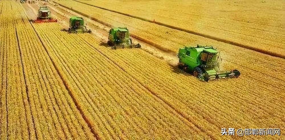 邯郸疫情防控最新通告｜核酸采样点公布｜武安寻人｜6月3日邯郸新闻早报