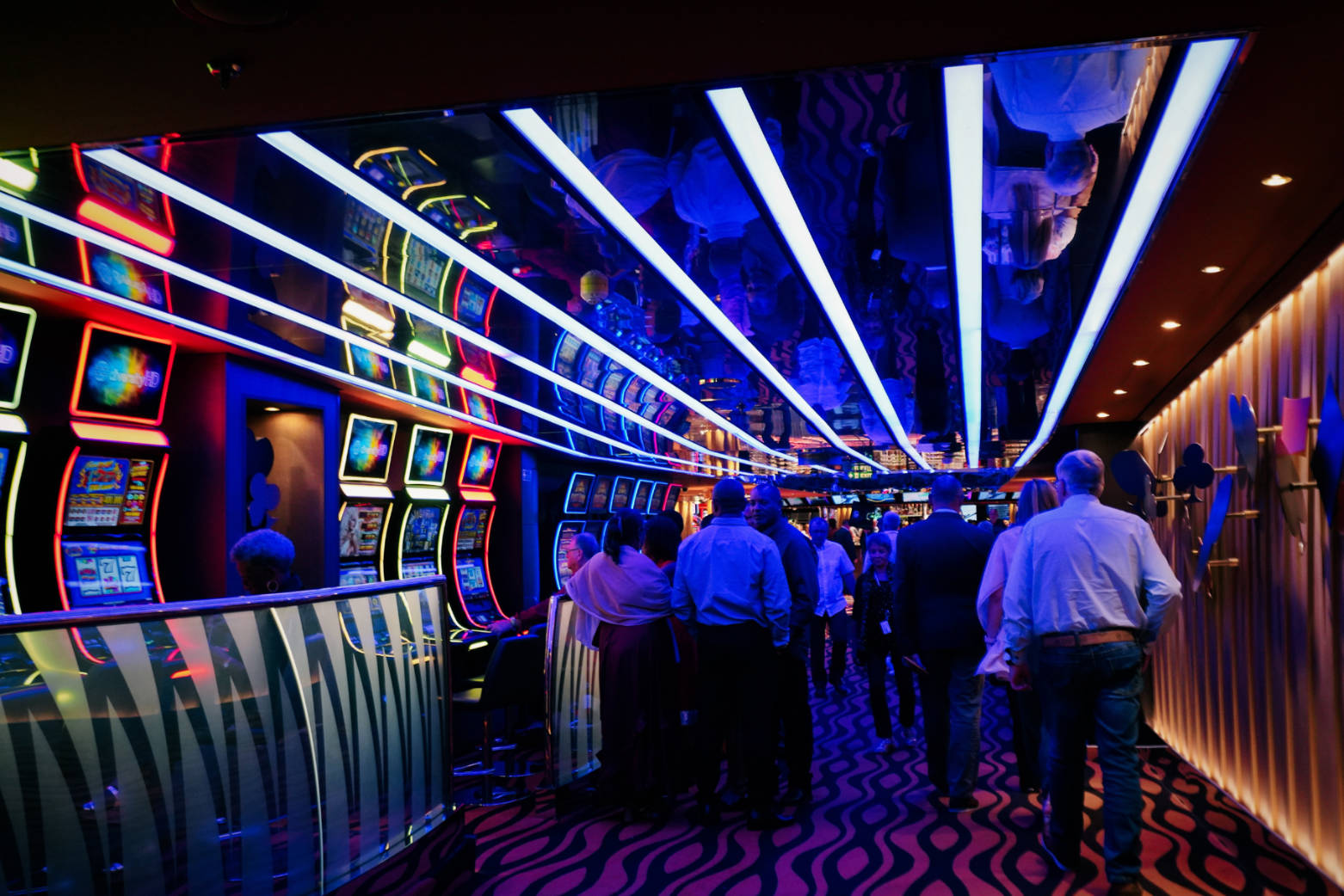 游轮7天6夜豪华游皇家加勒比,游轮加勒比7天6夜豪华游