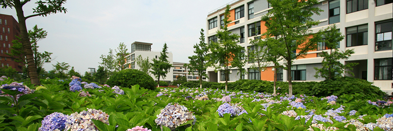 浙江理工大学宁波企业校招,浙大宁波理工学院计算机人才引进