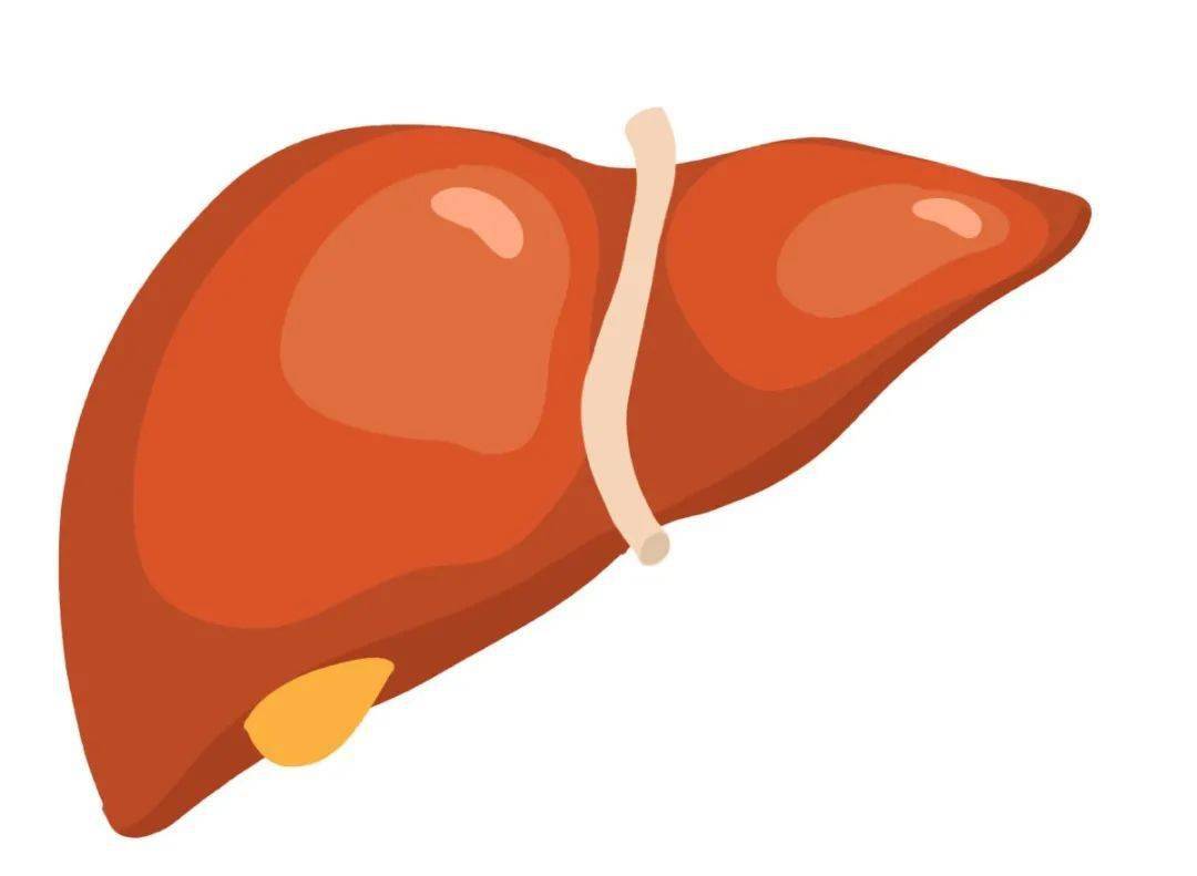 八十岁老人肝癌可以手术风险大吗,肝癌扩散怎么治疗治疗方案是什么