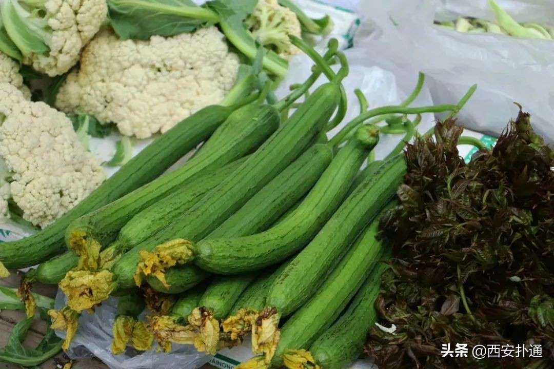 西安曲江哪里有大型批发菜市场,深夜西安十大农贸菜市场