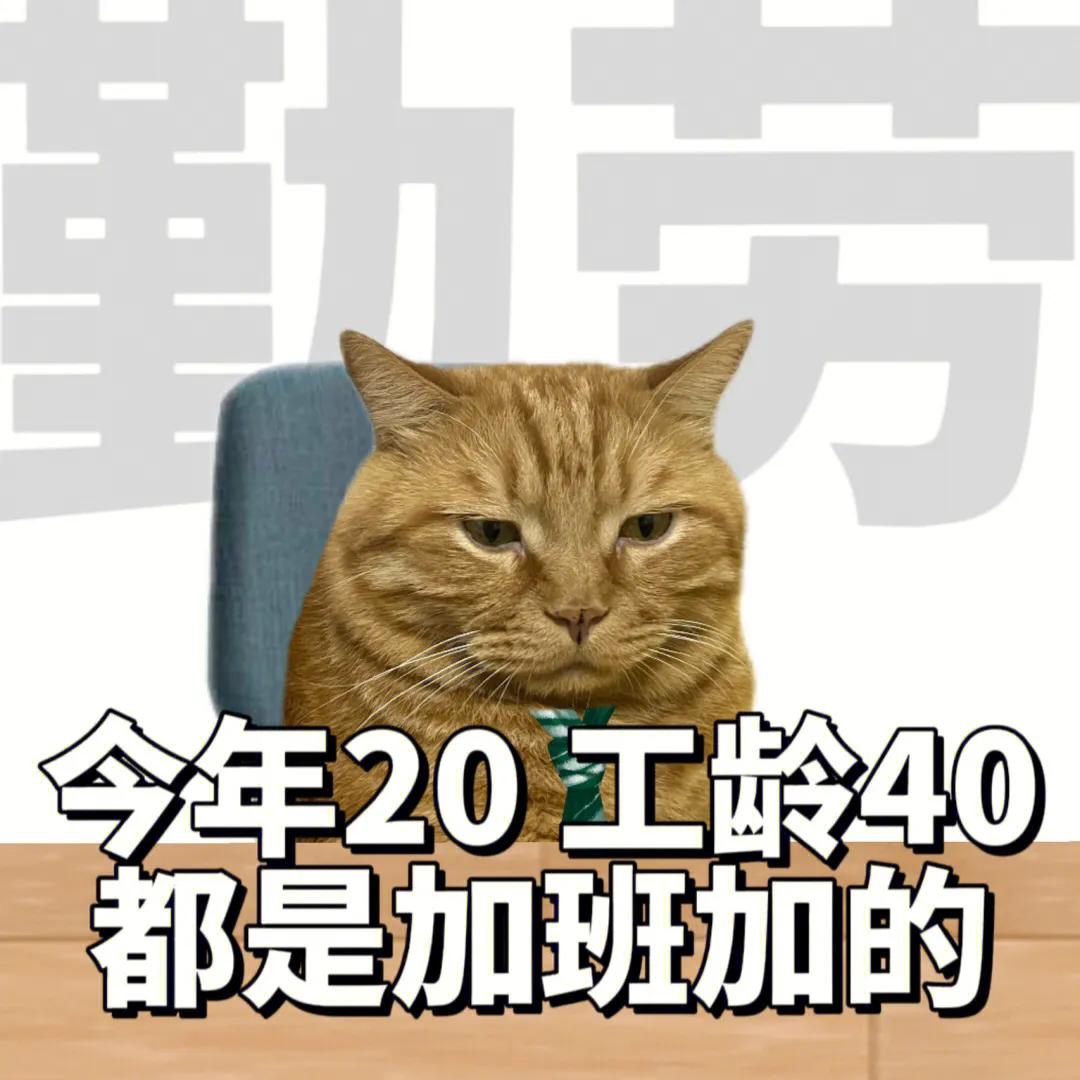 上班的我下班的我表情包,上班与下班的区别表情包