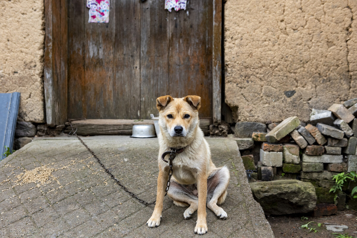 古代的乞丐叫什么名字,旧时代乞丐