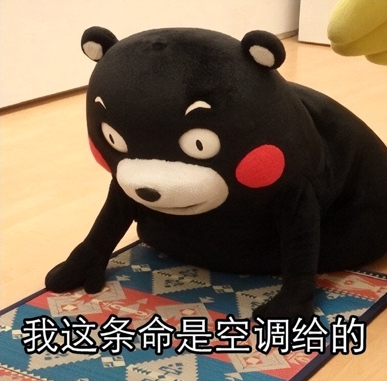 新风空调到底好不好,新风空调到底值不值得买