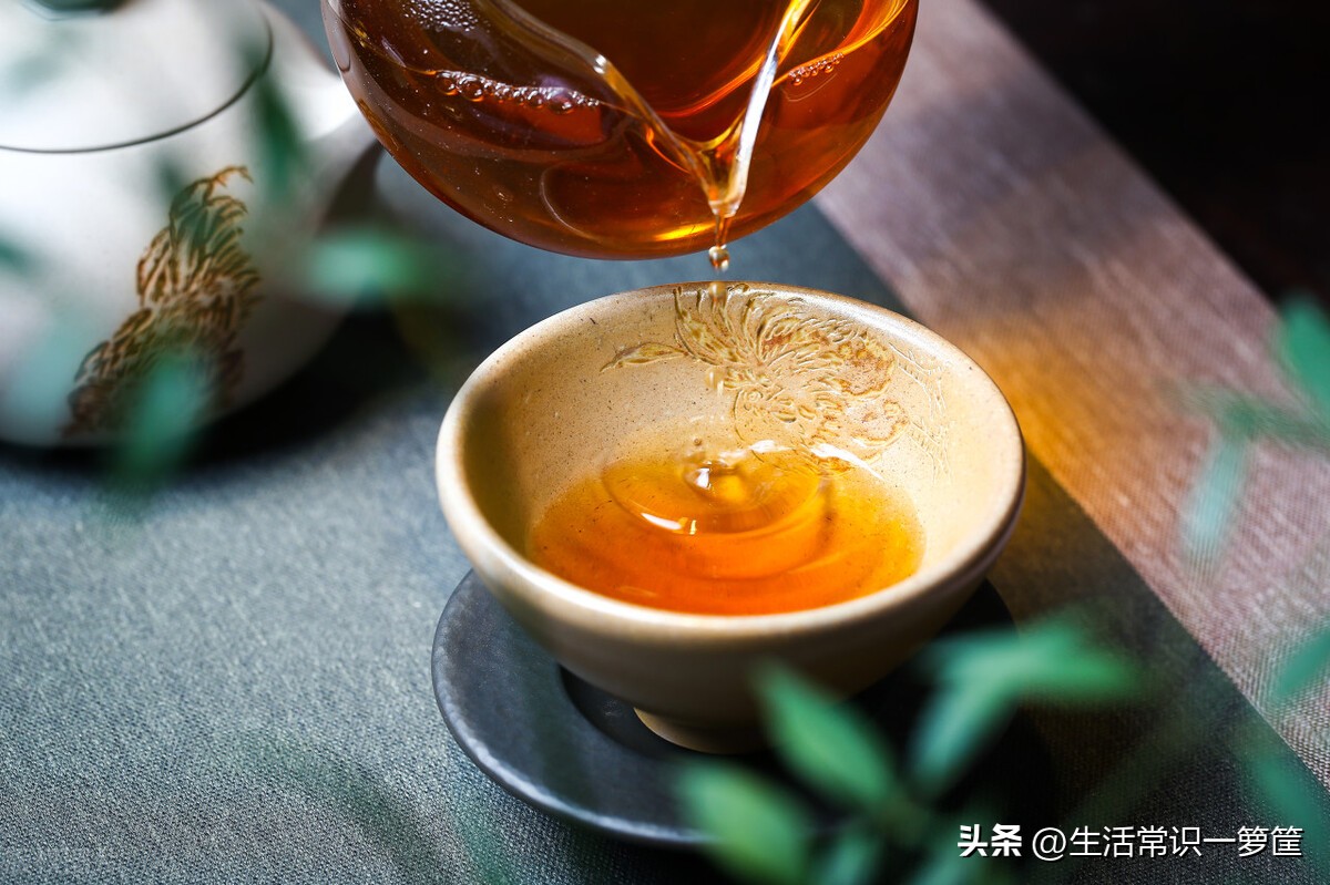 你可能不知道的红茶冷知识,红茶有哪些基本知识