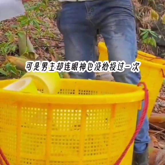 dou+小助手,dou+好生意