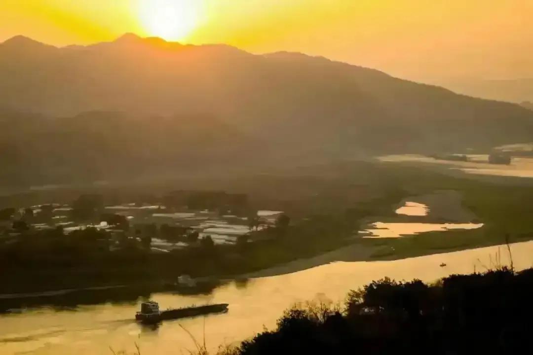 组织设计案例,组织设计培训