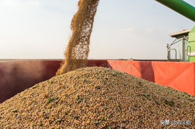 十种种子传播的方法,种子的传播方法有几种类型