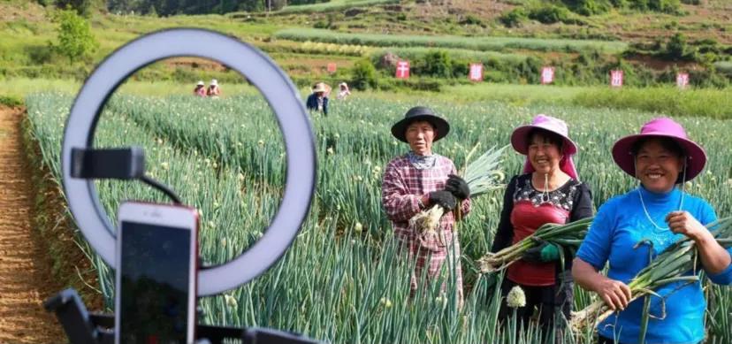 2023年最赚钱十大风口出炉,创业风口2023