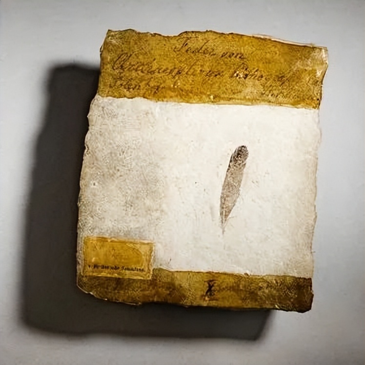 始祖鸟谣言,始祖鸟你不知道的用法