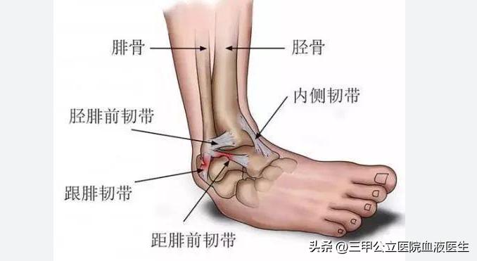 巴西队内马尔脚踝,内马尔脚踝90度扭曲