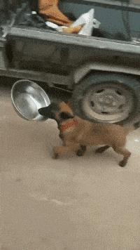 健身房有多乱知乎,健身房真的乱吗知乎后续