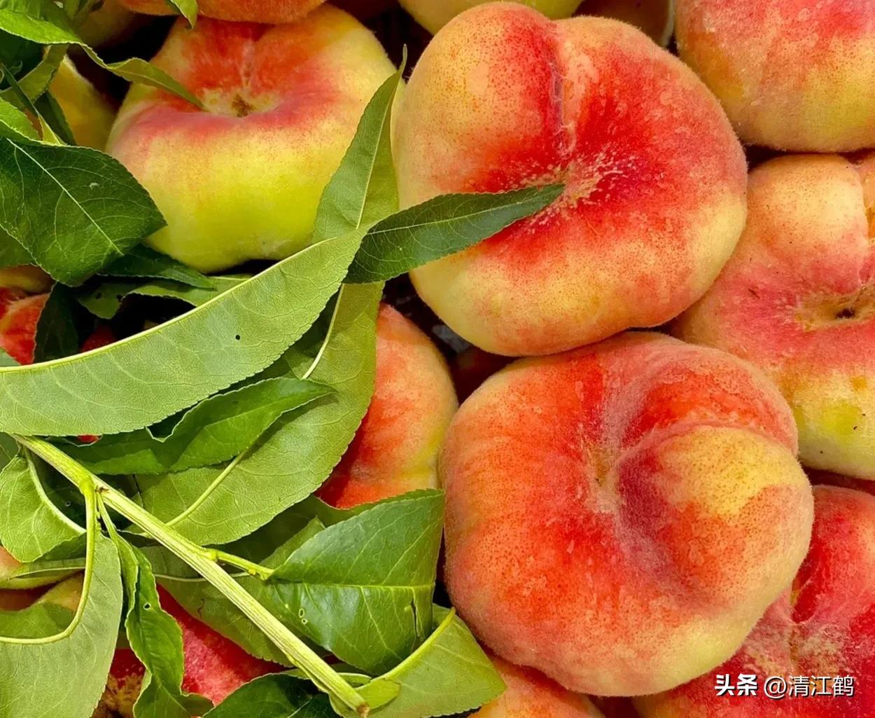 液体叶面肥使用方法,怎么辨别叶面肥好坏