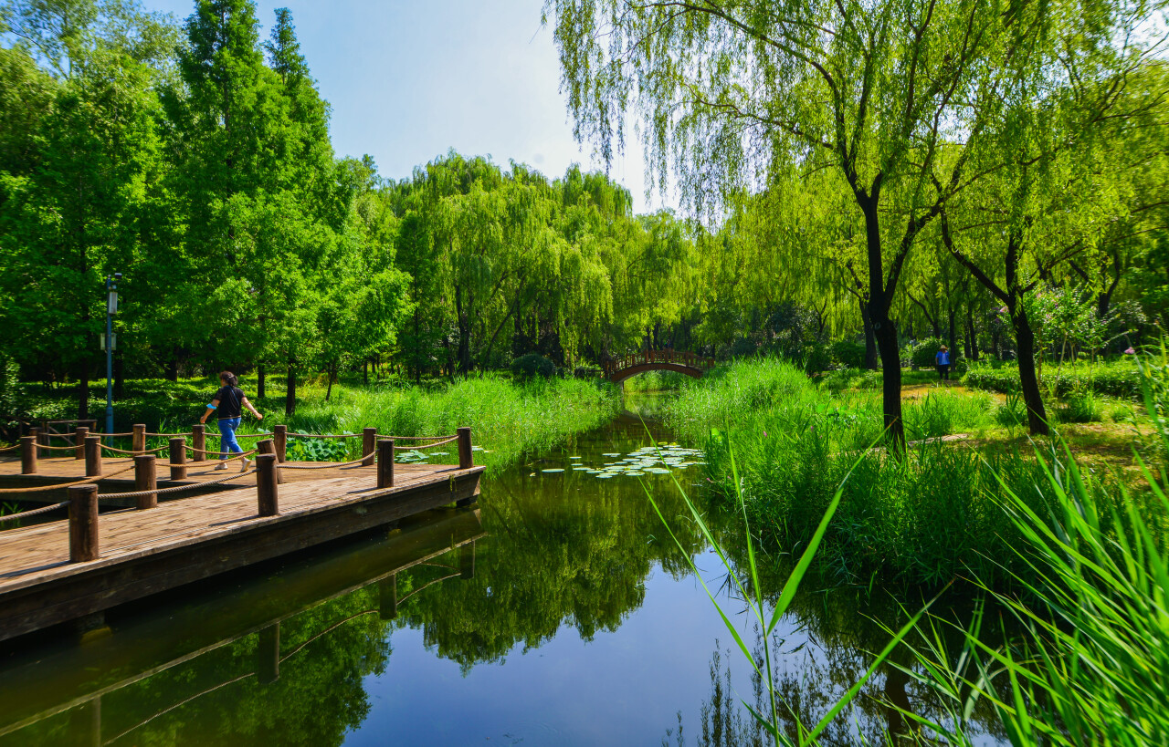 济南体验泉城天然氧吧,济南天然氧免费景点