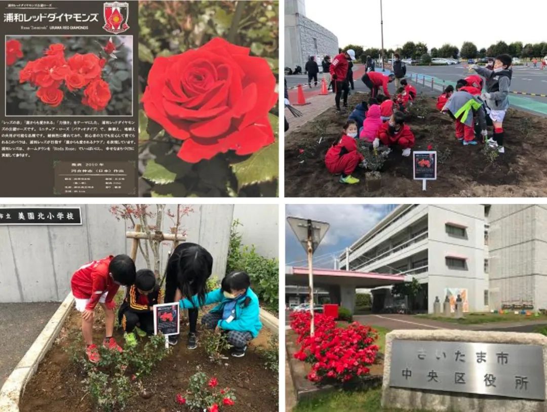 日本足球为啥发展这么快,为什么日本足球能发展那么快